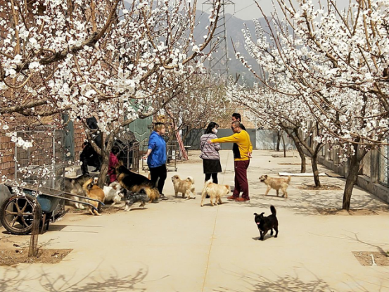 ���ô�ĸ��Ʒ��Nest Designs�y�֡������𡱞�100ֻ���˹��ṩ���¼�