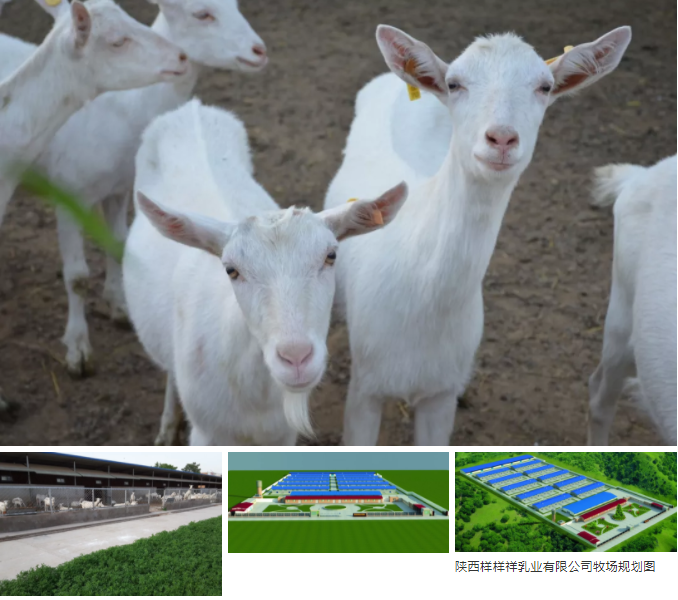 ����Ә�����I(y��)���޹�˾ ���ʡ��Ʒ�|����ȫ�·��������]��I(y��)