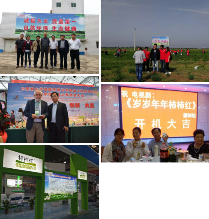 ����Ә�����I(y��)���޹�˾ ���ʡ��Ʒ�|����ȫ�·��������]��I(y��)