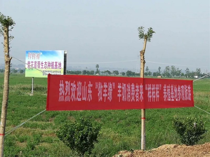 ����Ә�����I(y��)���޹�˾ ���ʡ��Ʒ�|����ȫ�·��������]��I(y��)