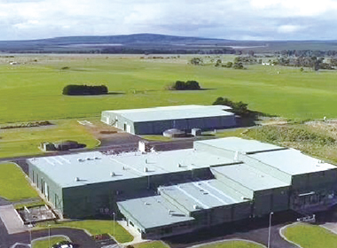 ̹�D���x˼Ľ���̷����p���嵰�ף�С���Ӟ���ɫ����һ ��Ʒ�|���̷�