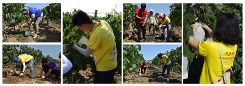 ������c��ů�������־Ը�F��̫ꖴ�һ�����^�����ﶬ