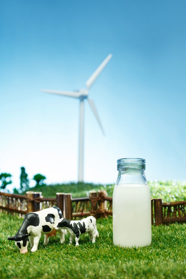 ��ٝ��׷�Ӿ�ٛ�l�����o�������Є����YԮ�����Юa�DȺ�w