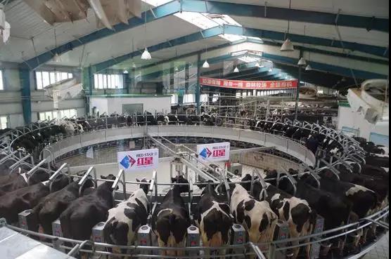 һ��ţ�̵�׃��ӛ ���V��t���ЙC������