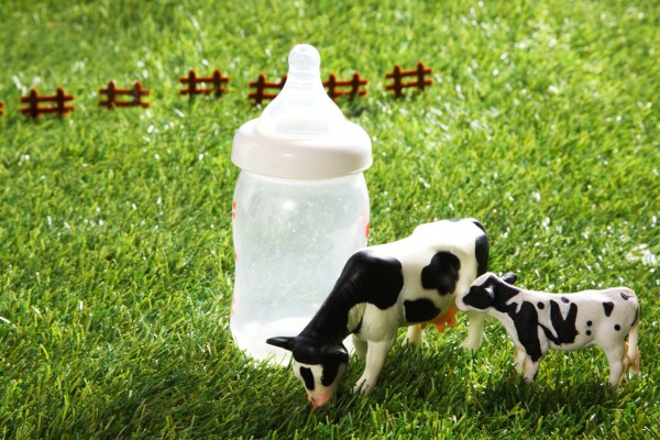 在疫情沖擊之下,中小母嬰店生意少了一半,但用戶屯奶粉的意愿強烈! 在疫情沖擊之下,中小母嬰店生意少了一半,但用戶屯奶粉的意愿強烈!