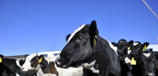 ��I����F�������aҪ������